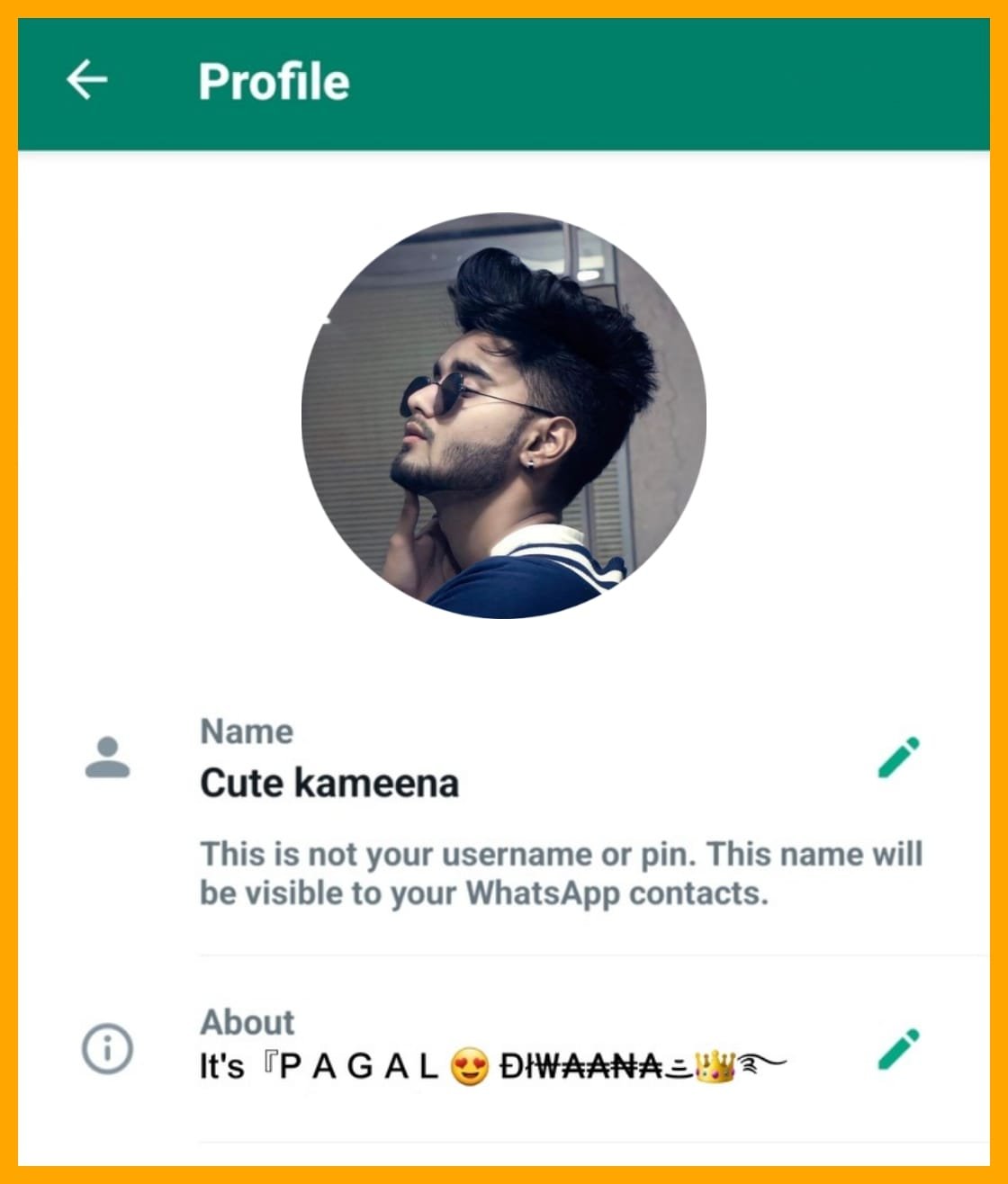 WhatsApp bio