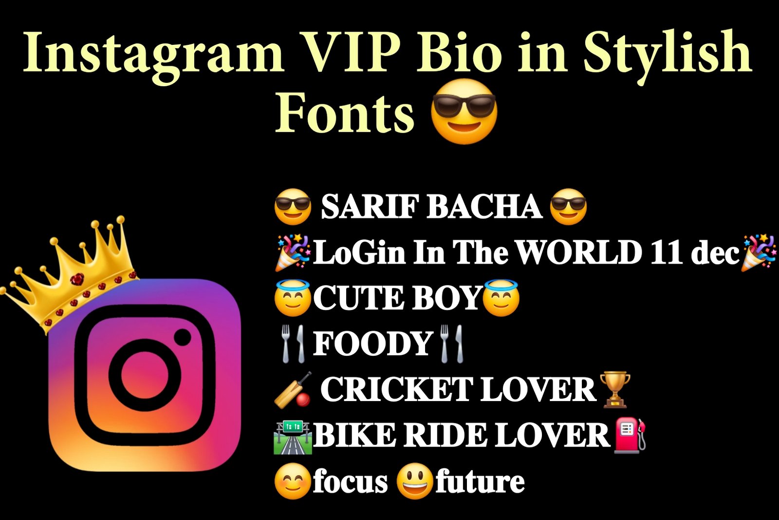 Instagram VIP Bio Stylish Font style for boys